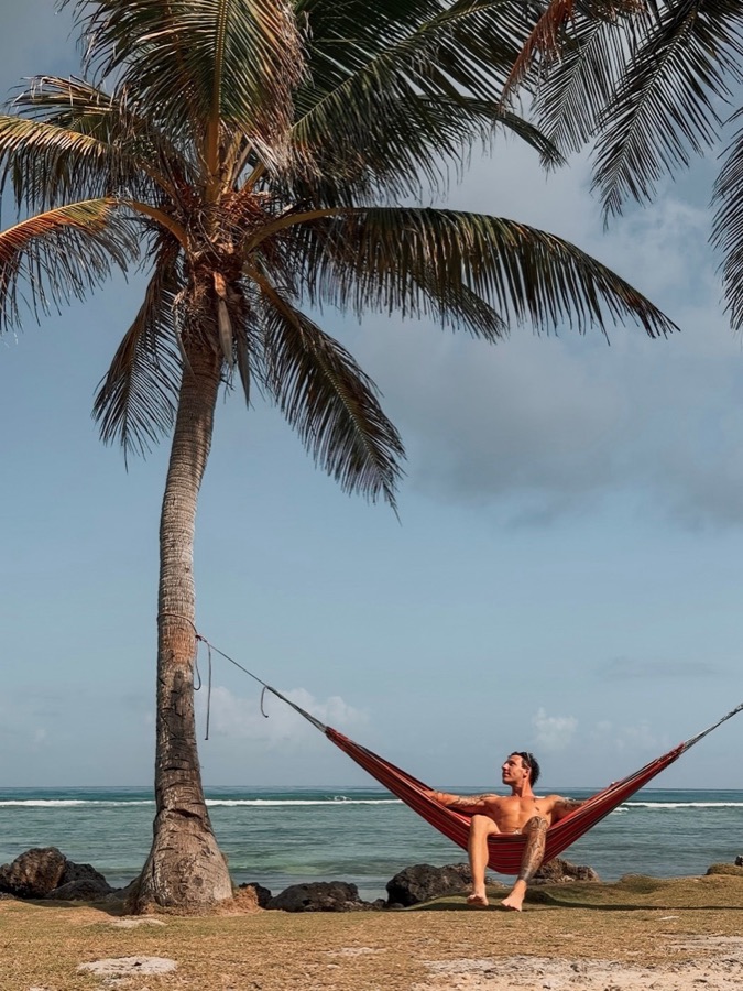 Hammock under a palm tree